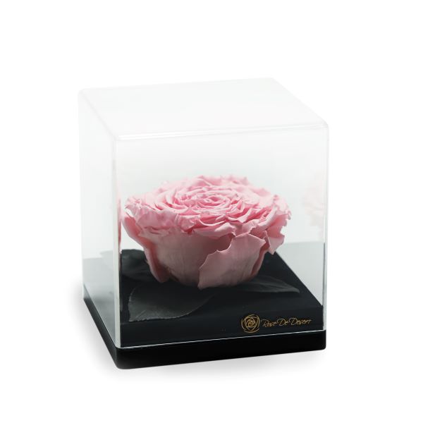 Endless Treasure Baby Pink