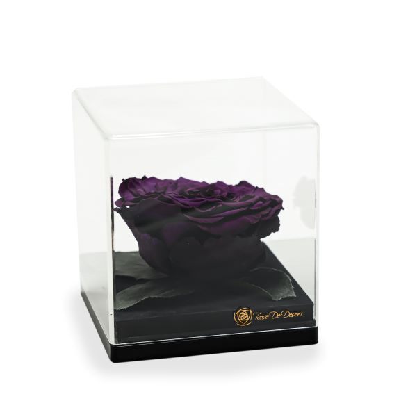 Endless Treasure Deep Purple