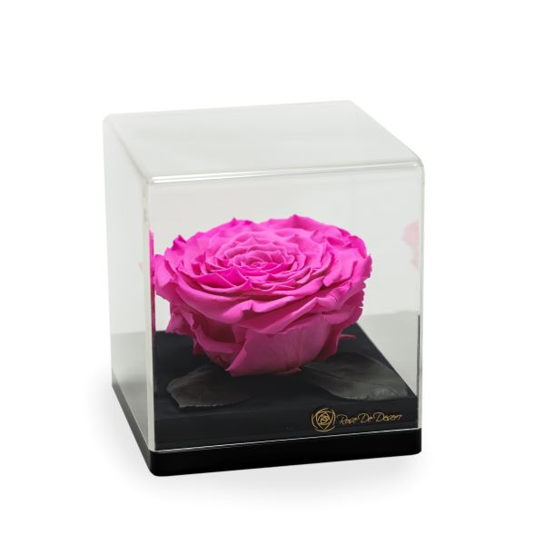 Endless Treasure Magenta