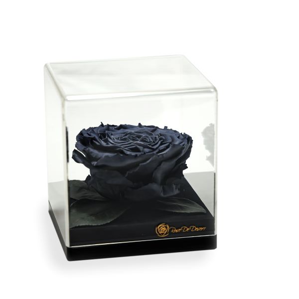 Endless Treasure Grey