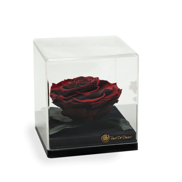 Endless Treasure Chocolate