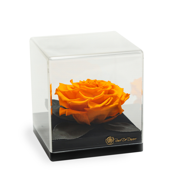 Endless Treasure Yellow