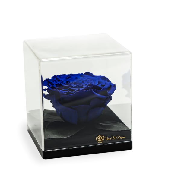 Endless Treasure Royale Blue