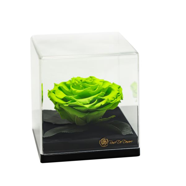 Endless Treasure Green