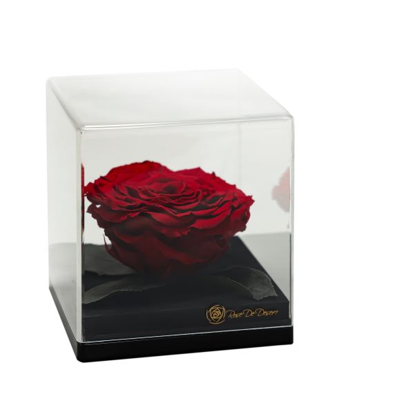 Endless Treasure Red