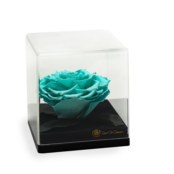 Endless Treasure Turquoise