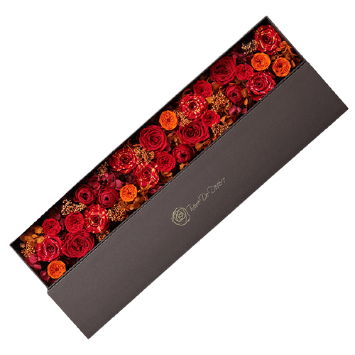 Endless Slender Festive Red Mix