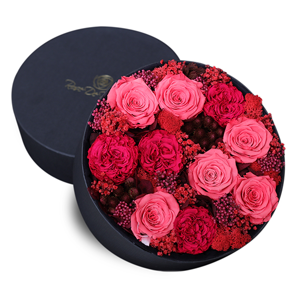 Endless Glory Coral Mix