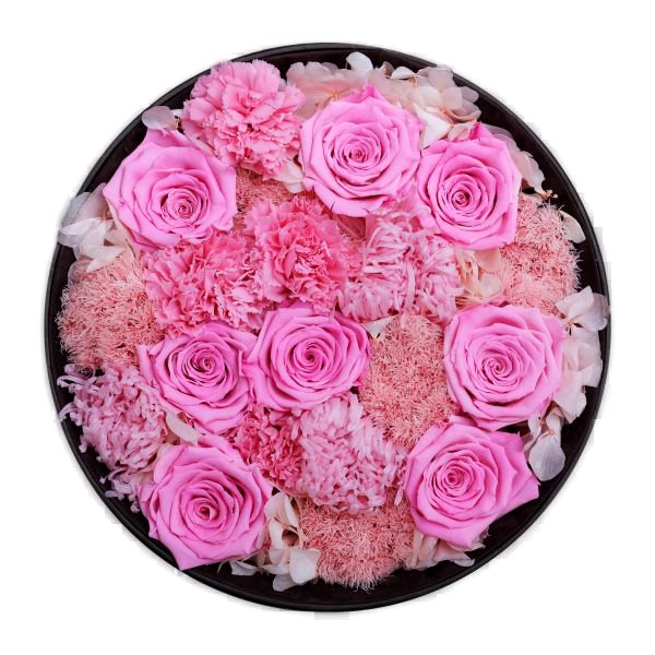 Endless Glory Baby Pink Mix