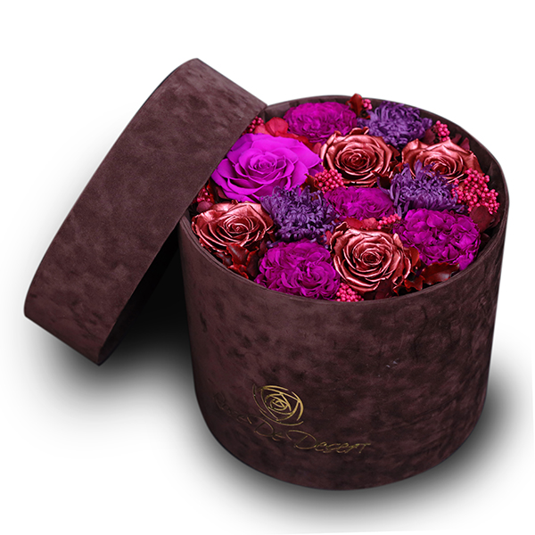 Endless Fame Dignity