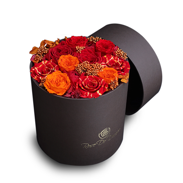 Endless Fame Festive Red Mix