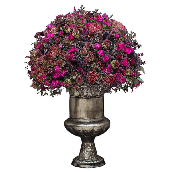 Pristine Apollo Purple Mix