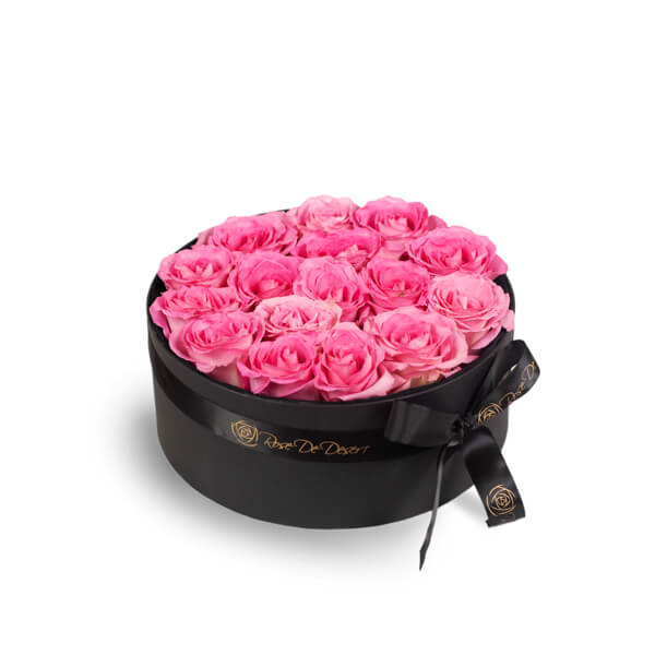 Pristine Glory Sweet Unique