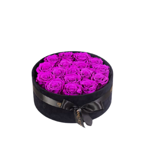 Endless Glory Purple