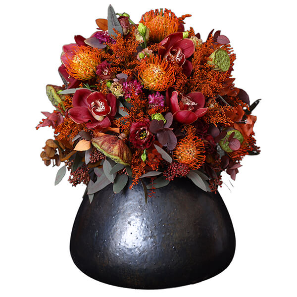 Pristine Gaia Orange Mix