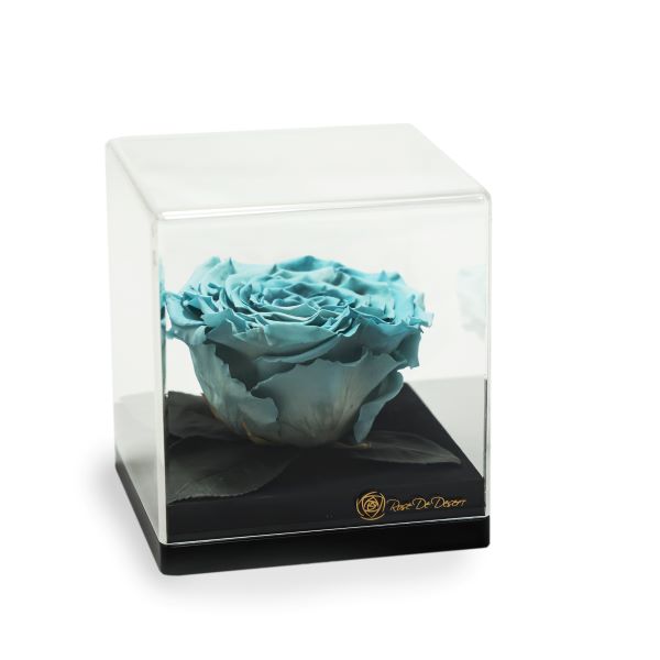 Endless Treasure Blue