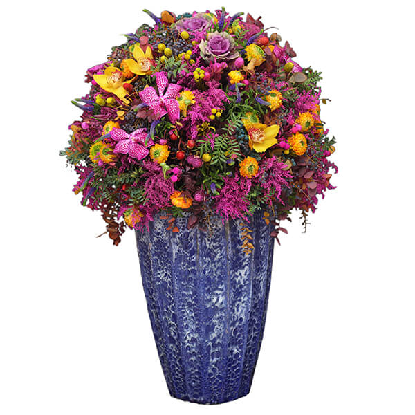 Pristine Zeus Pink Mix