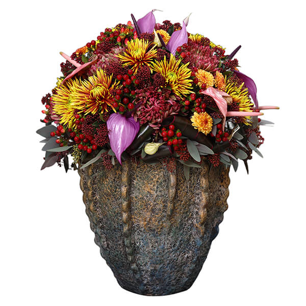 Pristine Poseidon Coral Mix