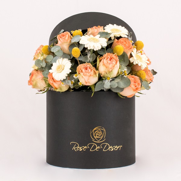 Crescent En Chamomile