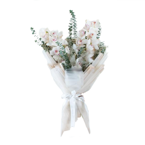 Ligne de Cymbidiinae