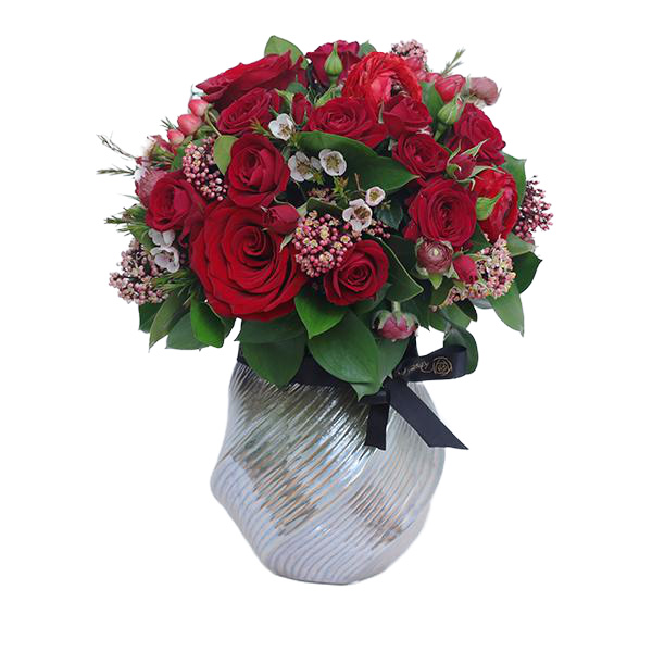 Pristine Gaia Red Tall