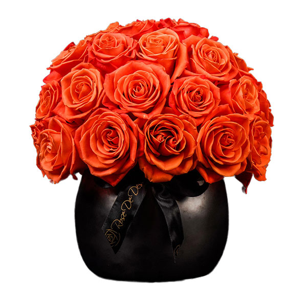 Pristine Solum Orange Crush