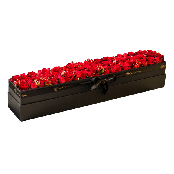 Pristine Slender Explorer Mix