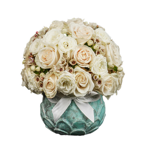 Pristine Lotus Vendella