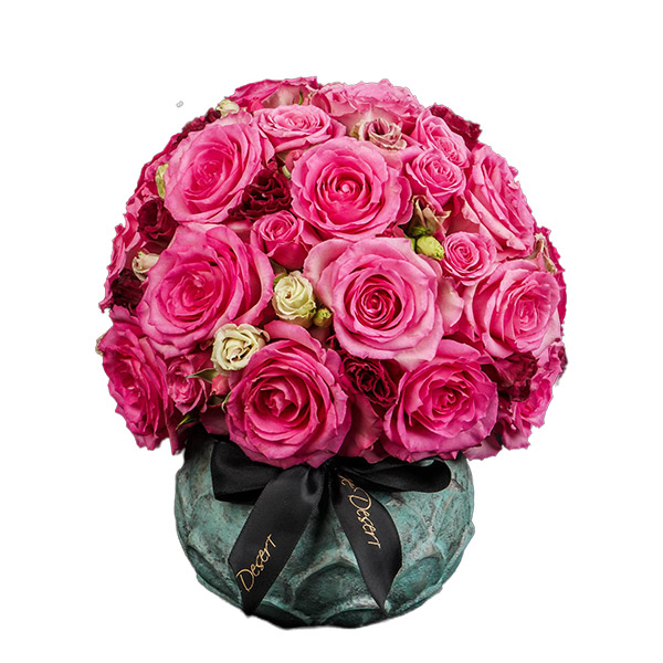 Pristine Lotus Sweet Unique