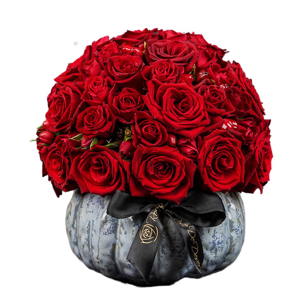 Pristine Pumpkin Explorer