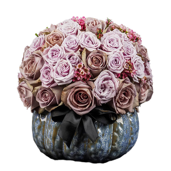 Pristine Pumpkin Amnesia