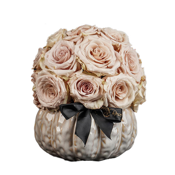 Pristine Pumpkin Quicksand