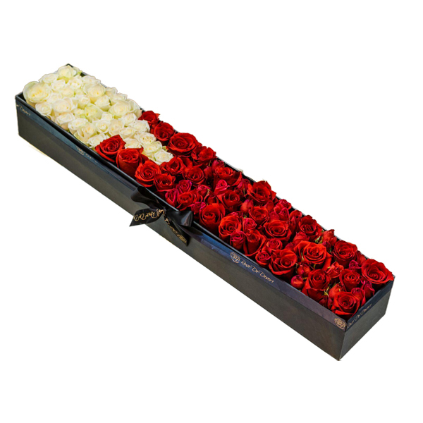 Pristine Slender National Day