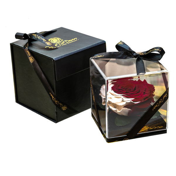 Endless Treasure National Day