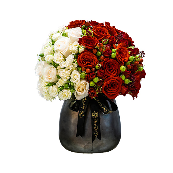 Pristine Solum National Day