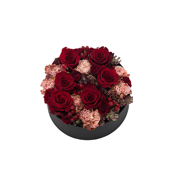 Pristine Glory Amoray - Image 3