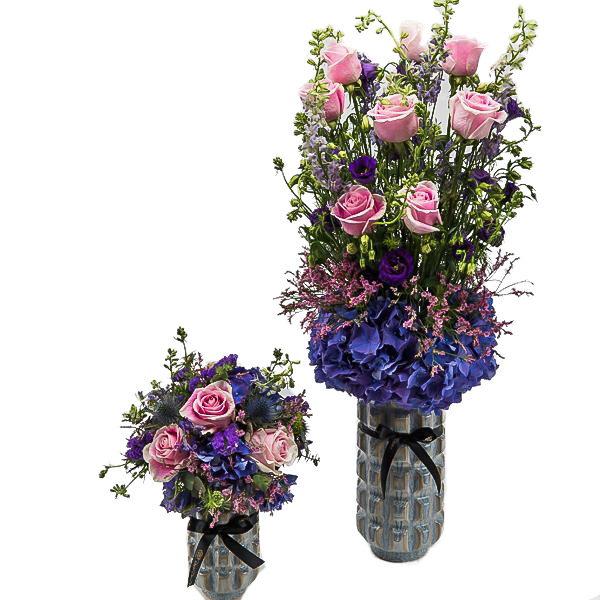 Pristine Delphyn set