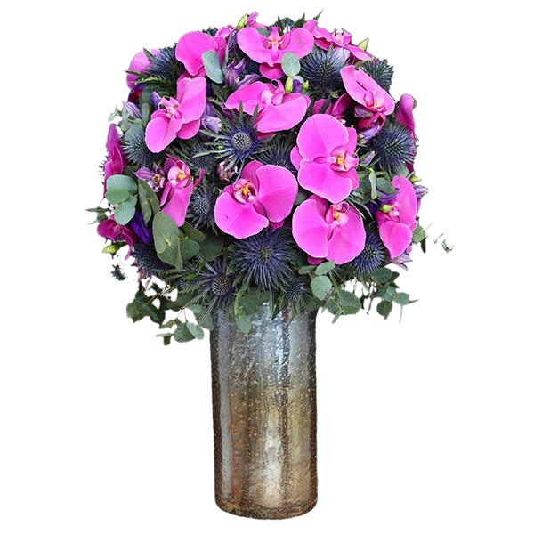 Pristine Pearl Purple Tall