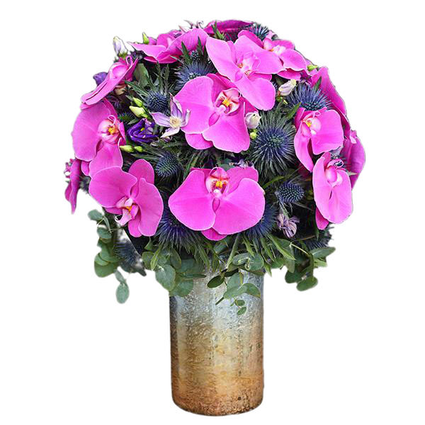 Pristine Pearl Purple