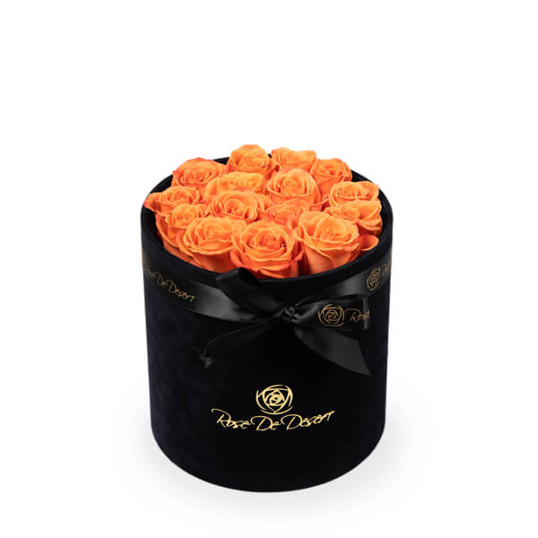 Pristine Fame Orange Crush