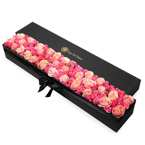 Pristine Slender Hermosa Mix