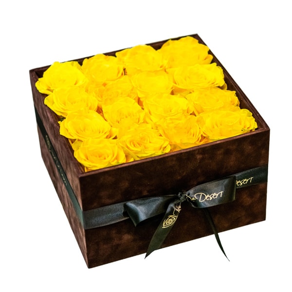 Pristine Arcade Brighton