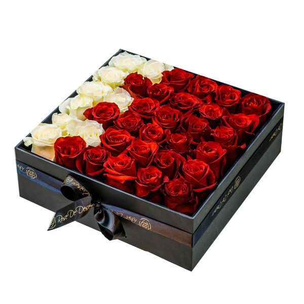 Pristine Arcade National Day