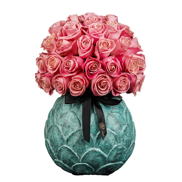 Pristine Lotus Hermosa