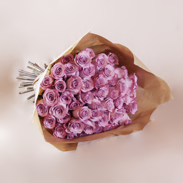 Lavender Lace | دانتيل اللافندر