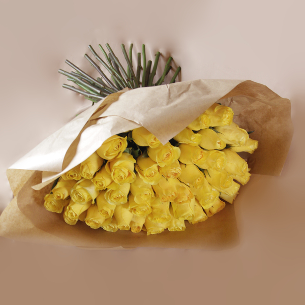 Golden Sunshine | اشعة الشمس الذهبية