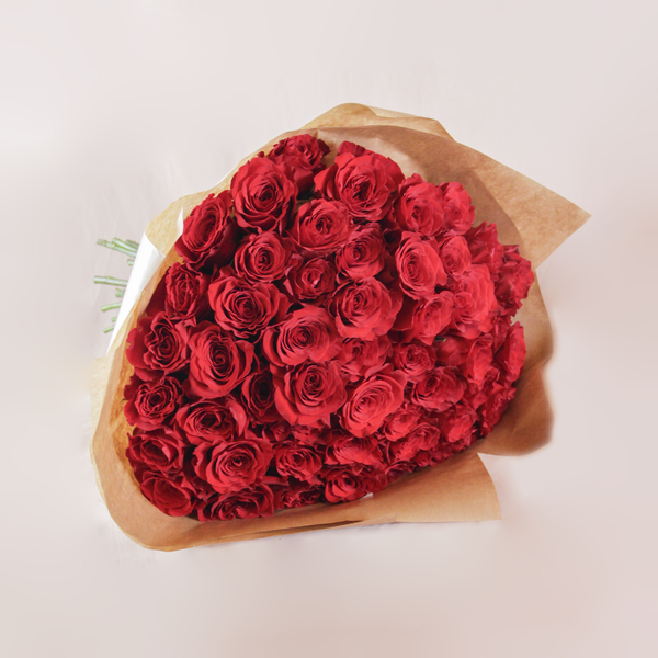 Fuchsia Fantasy | الفوشيا الخيالية