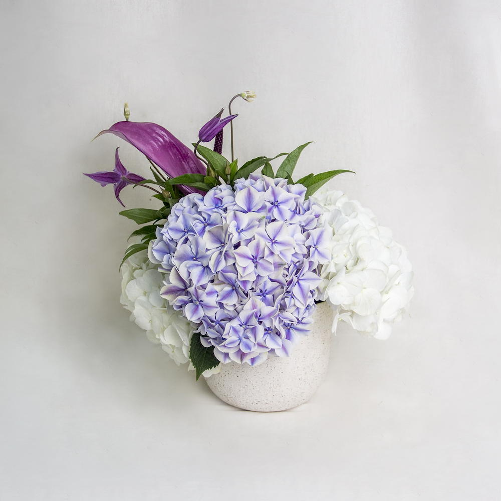 Assymetric Cerellum | ايسمترك سيريلوم