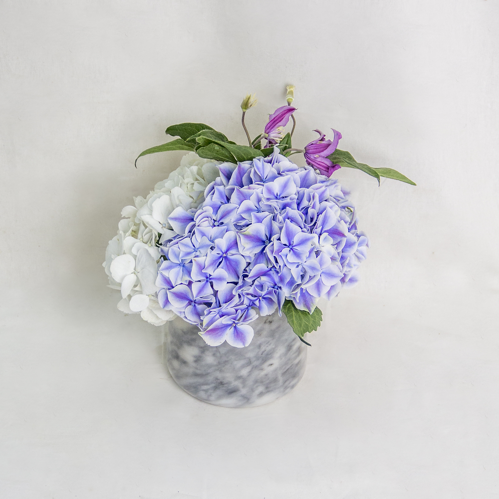 Assymetric Cobalt Blue | ايسمترك كوبالت بلو