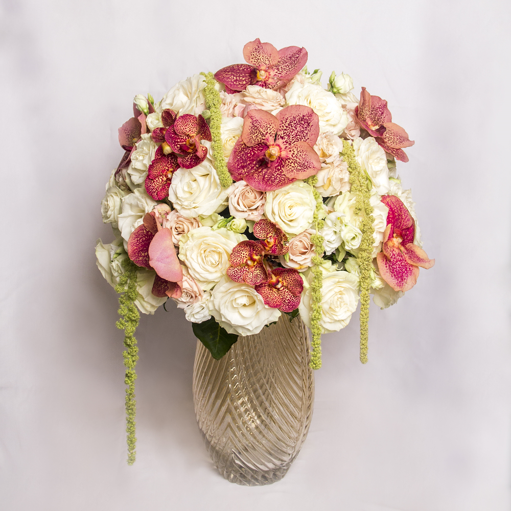 Citrini | سيتريني